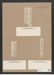 Navicula sp. (de-Toni-Nr.: Genus 1) Zeichnungen Sammlung Grunow Nr. 1513 (NHMW-BOT-W0368036)
